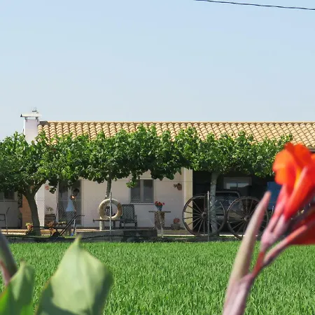 Caseta Montanyana Holiday home Deltebre
